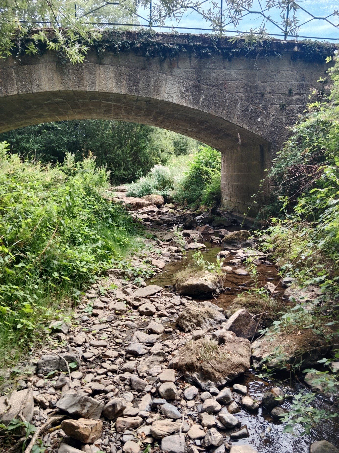 Lire la suite à propos de l’article Limitation des prélèvements et usages de l’eau