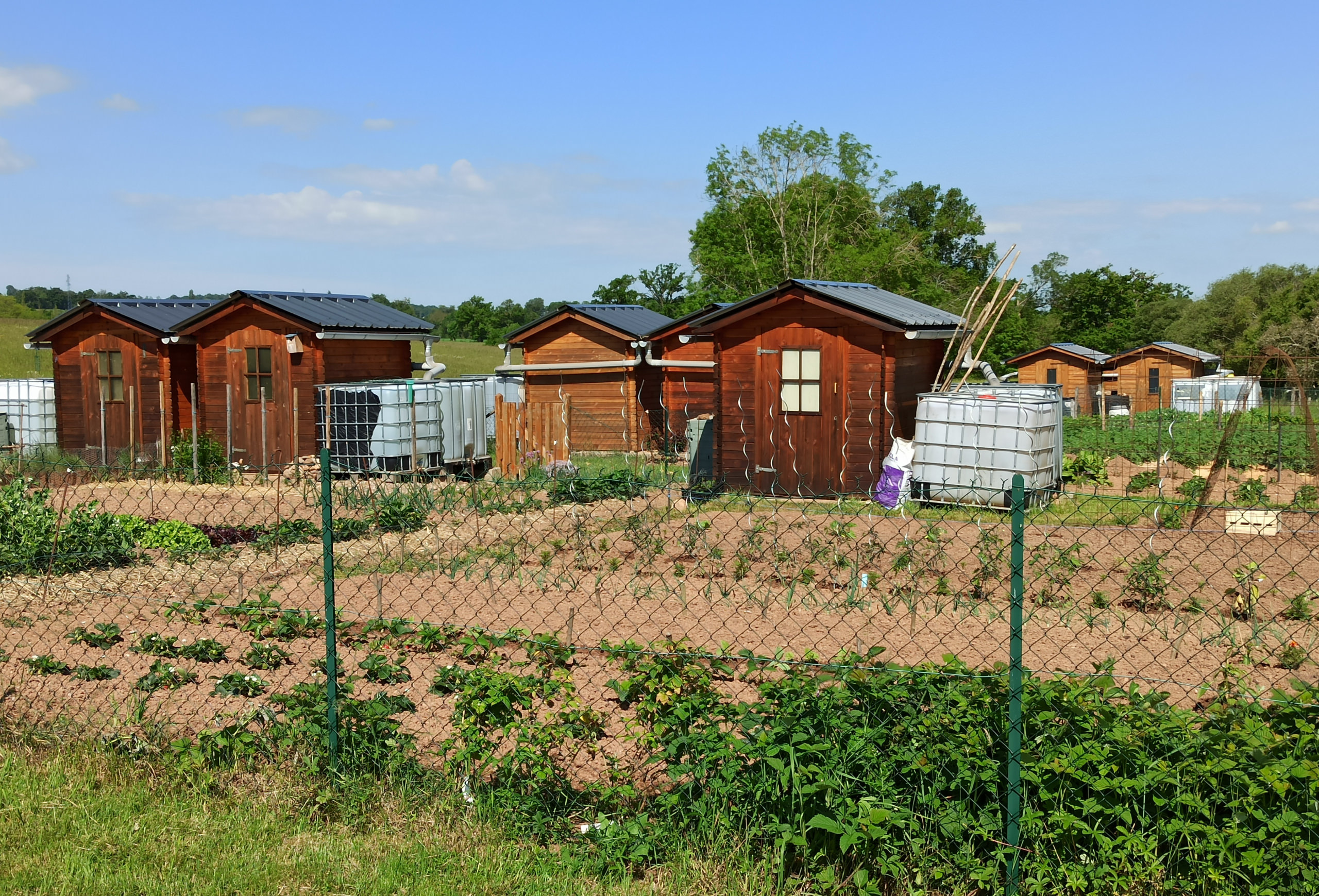 Lire la suite à propos de l’article Nouveaux jardins